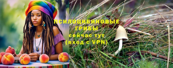 кокаин перу Каменногорск