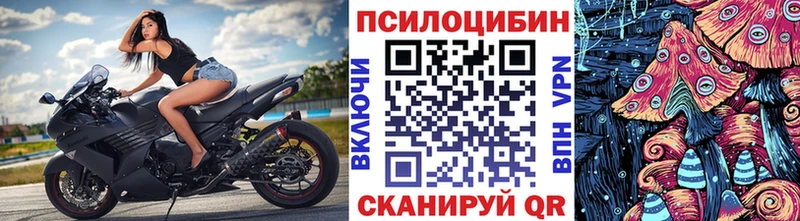 Купить закладки  Верея  Псилоцибиновые грибы мицелий 